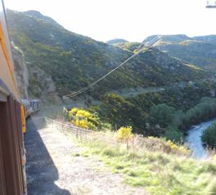 Mitder Taileri Railway durch die Natur Neuseelands
