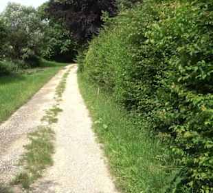 Premiumspazierweg Früchtetrauf-Leisawegle