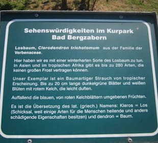 Kurpark Bad Bergzabern