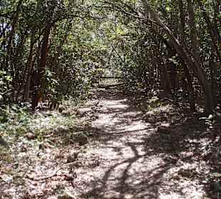 Unterwegs auf den Wanderwegen
