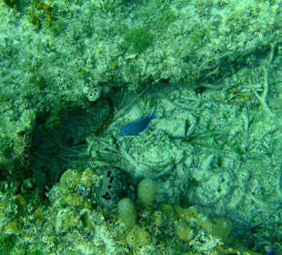 Jednodniowa wycieczka Cayo Largo 