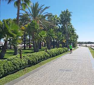 Promenade 