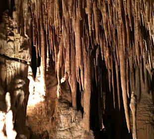 Drachenhöhle / Coves del Drac
