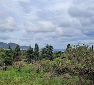 Stadtrundgang Cala Bona