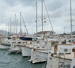 Am Hafen von Puerto de Polensa