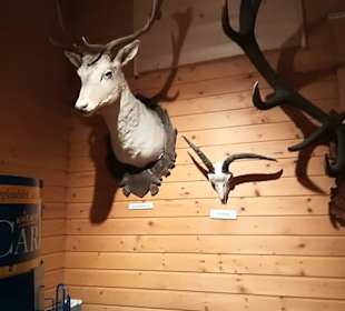 Alpen Wildpark Feld am See