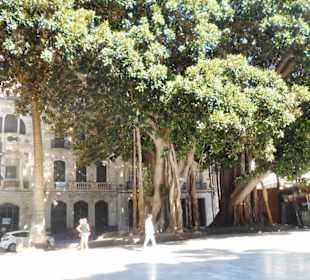 Plaza de San Francisco