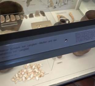 Archäologisches Museum