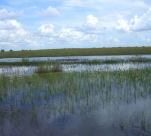 Everglades airboat Tour