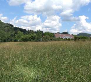 Kunst- und Sinnespfad