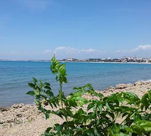 Ausblick Side Zentrum