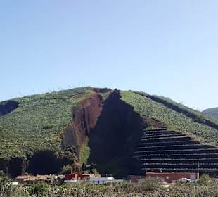 Vulkan Montaña del Palmar in Buenavista del Norte