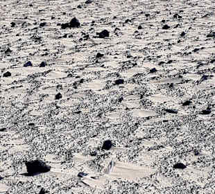 Dünen von Corralejo