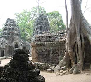 Ta Prohm