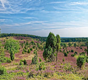 Wandern Lüneburg