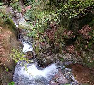 Wandern Mummelsee