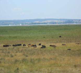 Blick vom Aussichtspunkt