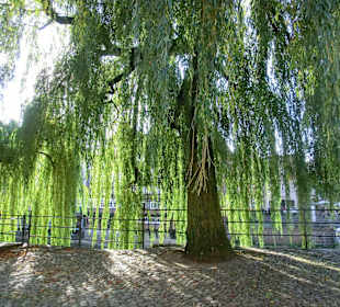 Schöner Platz in d. Altstadt