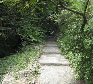 Alter Botanischer Garten