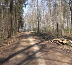 Wanderung Florianrunde