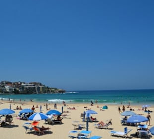 Bondi Beach