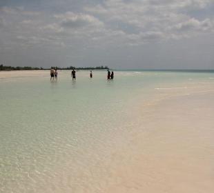 Gold Rock Beach auf Grand Bahama Island