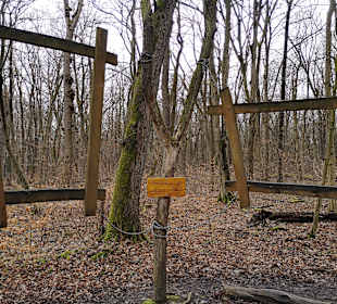 Nationalpark Hainich-Baumkronenpfad