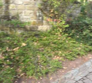 Erlebnispark Tripsdrill