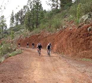 Vilaflor-Tour