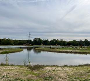 Krewelshof  Kürbisschau 2022 (Wundersame Waldwesen