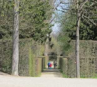 Schlossgarten Schwetzingen