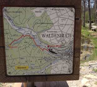 Spazierweg Ritter Museum