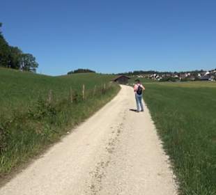 Waldameisen-LehrPfad