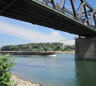 Am Rhein in Germersheim