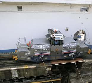 Muli hält das Schiff unter Spannung