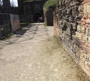 Kaiserthermen