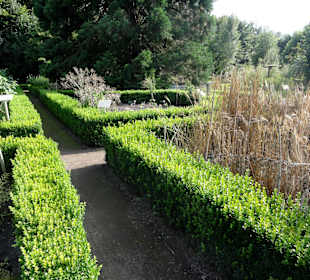 Abteilung für Nutzpflanzen im Botanischen Garten