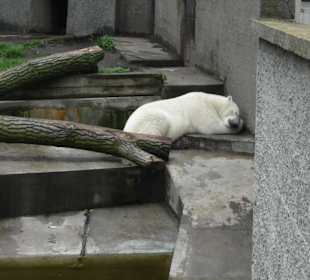 Zoo Warszawa