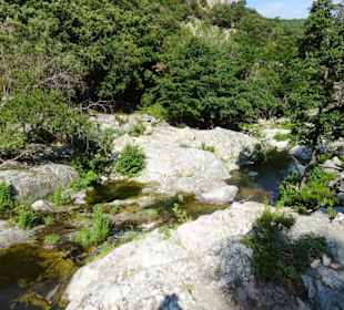 Impressionen von einer Wanderung an der Massane