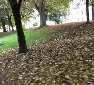 Östlicher Wehrturm Schussenstraße