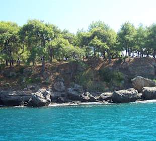 Halbinsel