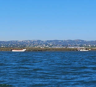 Bootstour Ria Formosa