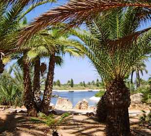 Auf der kleinen Insel