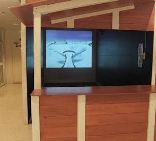 Skisprung-Simulation