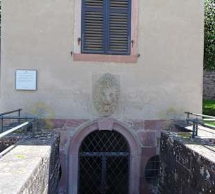 Schloss Heidelberg und Umgebung