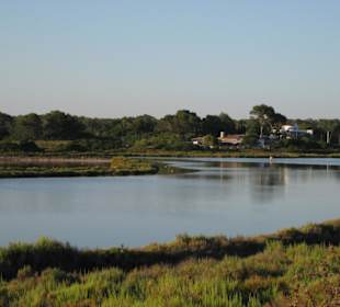 Salzsee am Hotel Colonia Sant Jordi Club