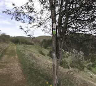 Wanderweg Hochgehswiggert