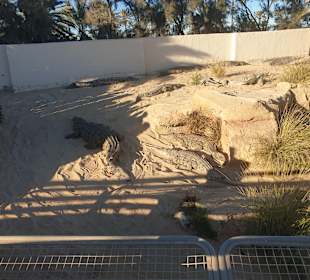 Krokodilfarm Animalia