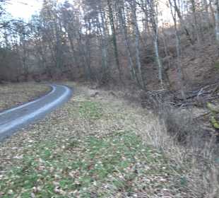 Ochsenweiher Rundweg