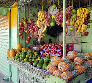 Land und Leute Safari